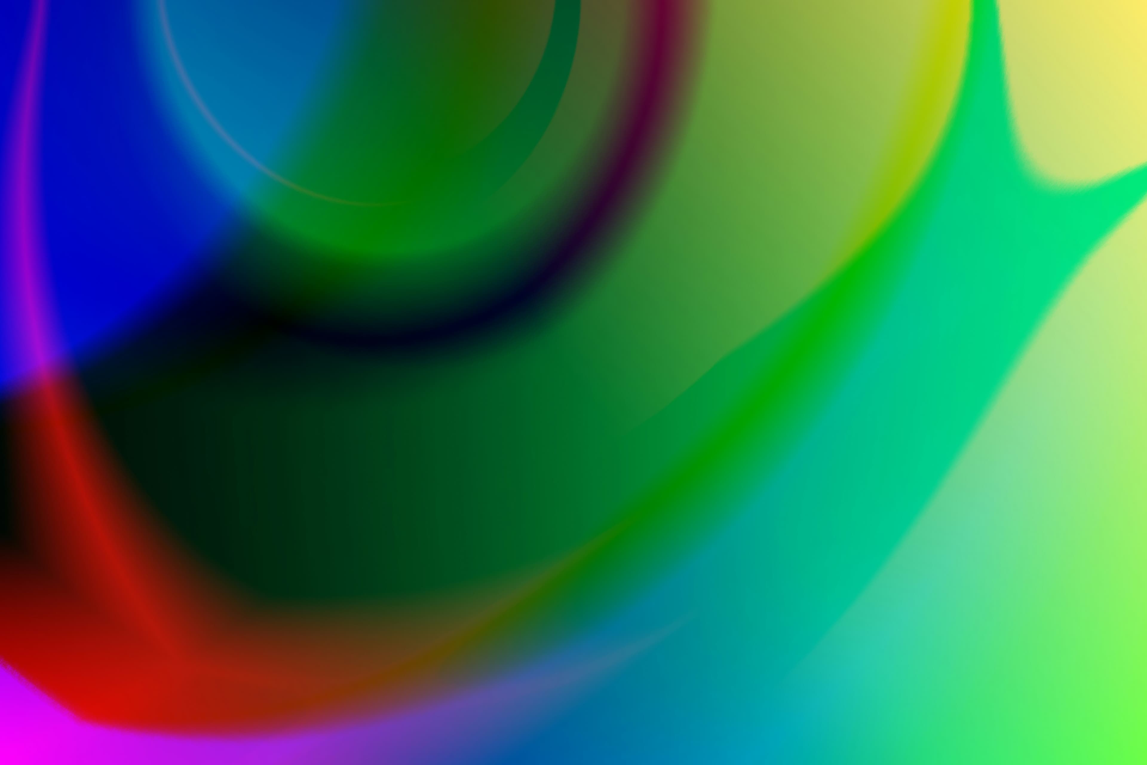 Business cover for Economics di Bilancio